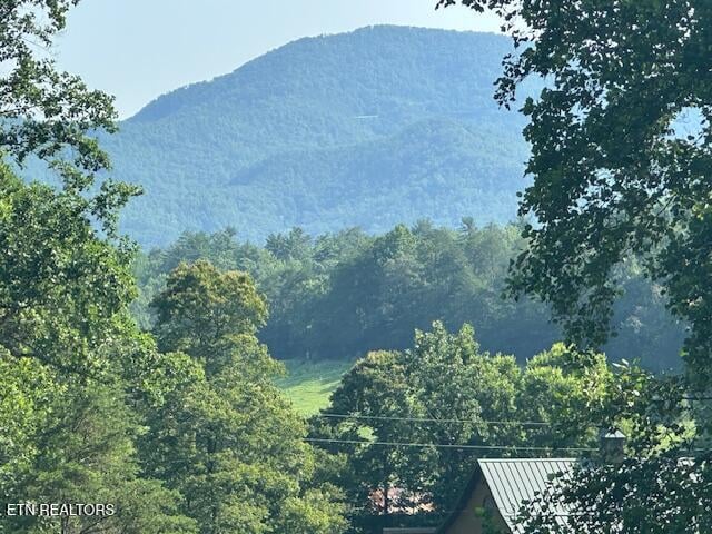 584 Bethel Church Rd, Townsend, TN 37882