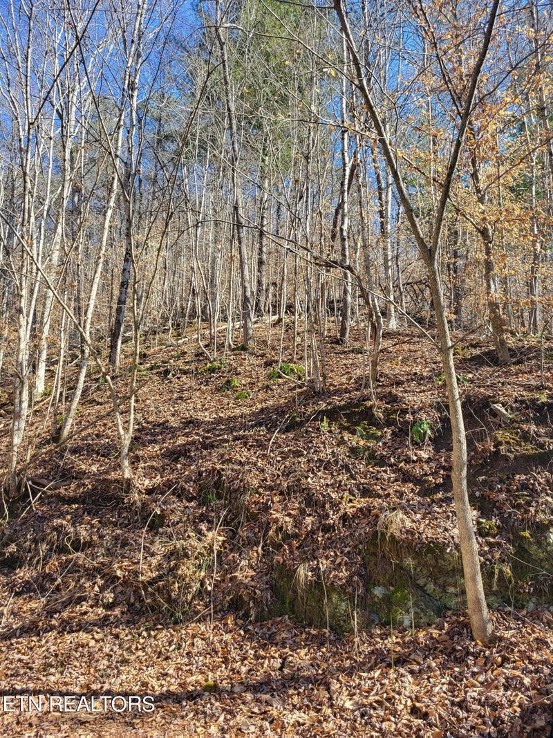 585 Ailor Gap Rd, Maynardville, TN 37807