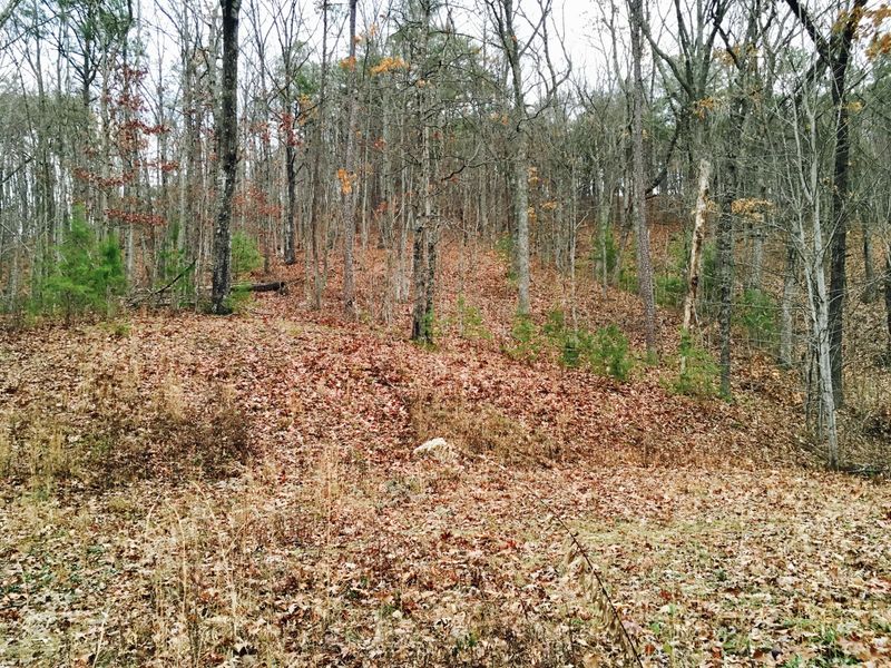 585 Mountain Shadow Ln, Maryville, TN 37803