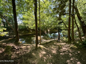 59 Union Hill Rd, Sunbright, TN 37872