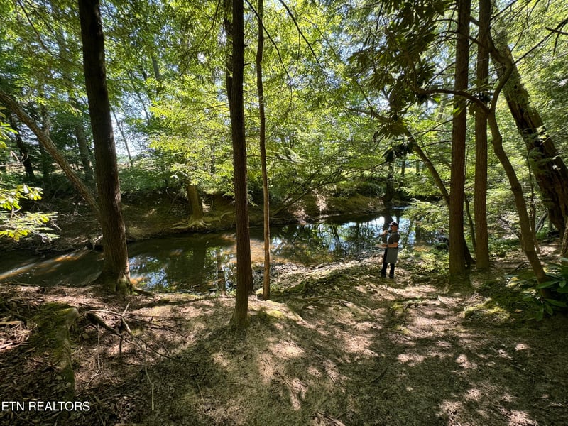 59 Union Hill Rd, Sunbright, TN 37872
