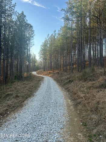 59 Union Hill Rd, Sunbright, TN 37872