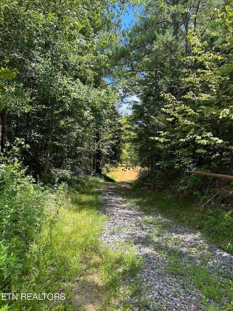 59.45 acre Athens Rd, Calhoun, TN 37309