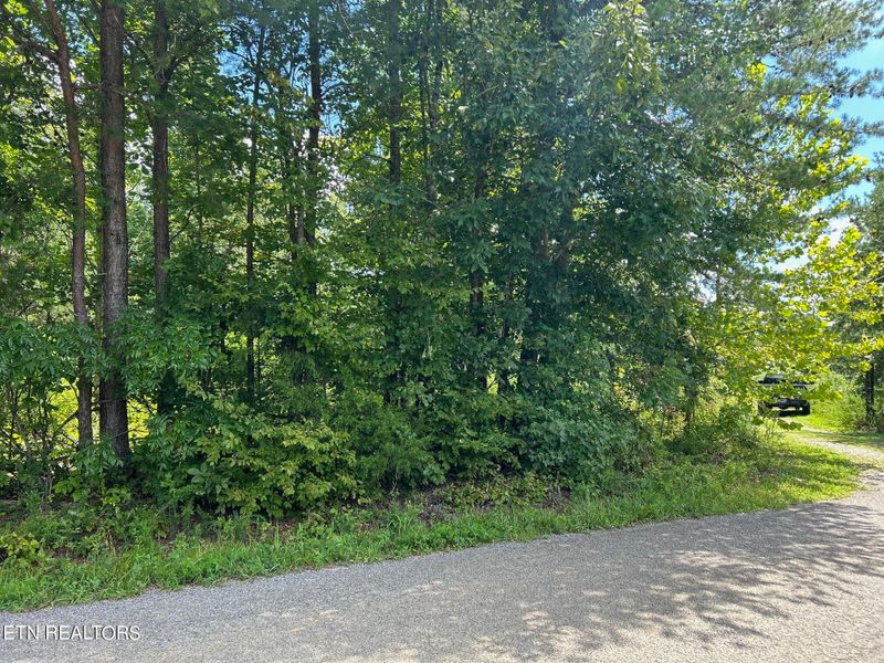 59.45 acre Athens Rd, Calhoun, TN 37309