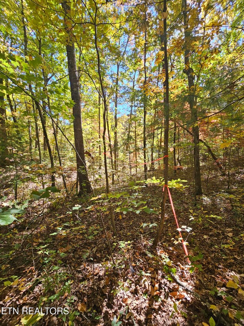 5906 Omega Dr, Tallassee, TN 37878
