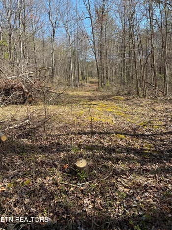 5908 Happy Valley Rd, Tallassee, TN 37878