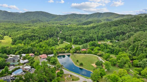 592 Flamingo Cir, Townsend, TN 37882