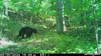592 Morgan Co Hwy #Morgan County Highway, Harriman, TN 37748