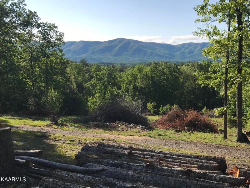 593 Pond Ridge Rd, Tellico Plains, TN 37385