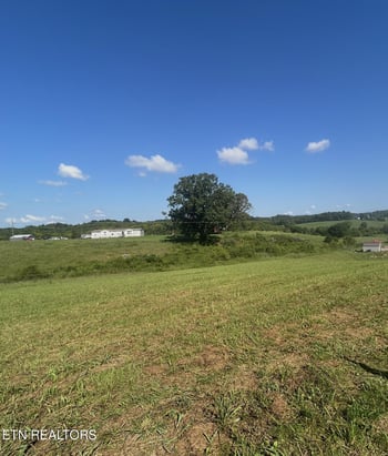 5938 Old White Pine Rd, White Pine, TN 37890