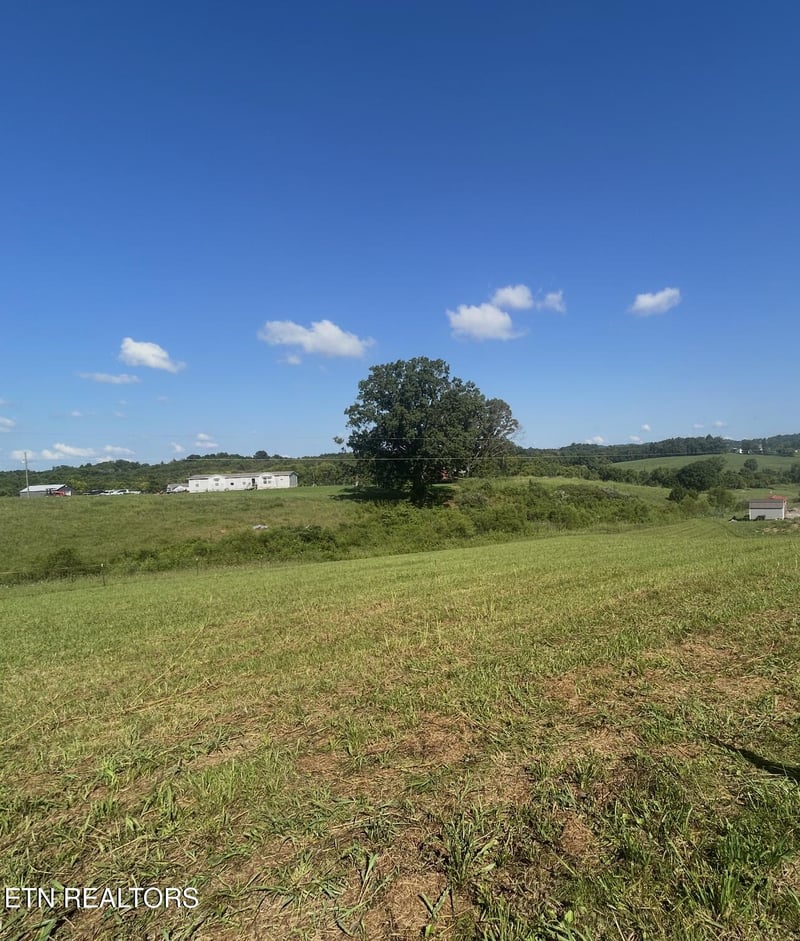 5938 Old White Pine Rd, White Pine, TN 37890