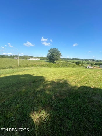 5938 Old White Pine Rd, White Pine, TN 37890