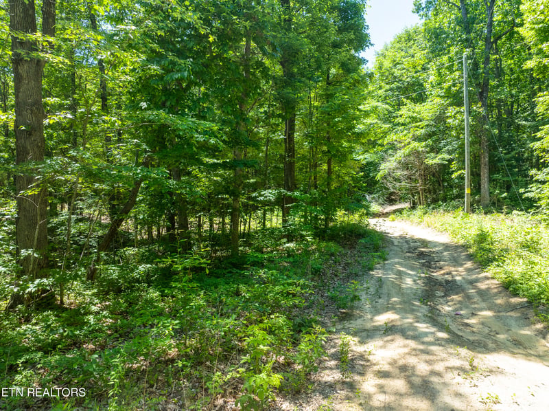 5941 Bobcat Tr, Tallassee, TN 37878
