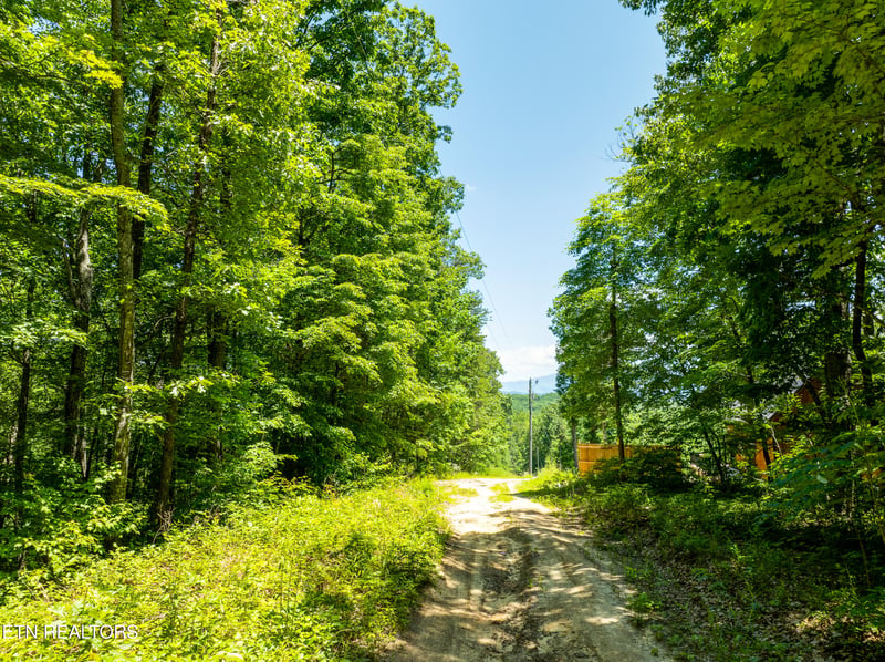 5941 Bobcat Tr, Tallassee, TN 37878