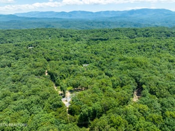 5941 Bobcat Tr, Tallassee, TN 37878