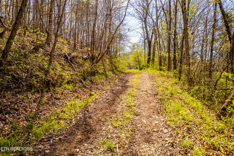 596 Byrams Fork Rd, Andersonville, TN 37705