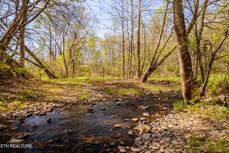 596 Byrams Fork Rd, Andersonville, TN 37705