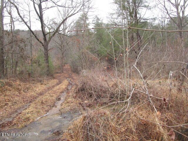 5960 Poor Valley Rd, Rutledge, TN 37861