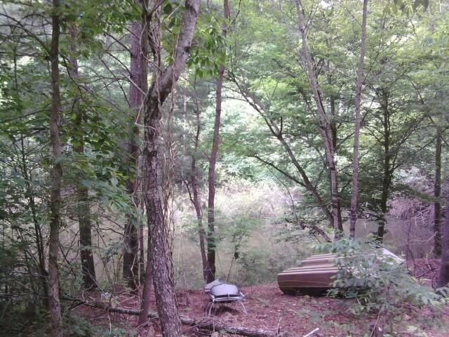 597 Beatys Chapel Rd, Tellico Plains, TN 37385
