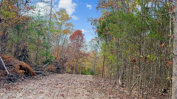 598 Myers Rd, Kingston, TN 37763