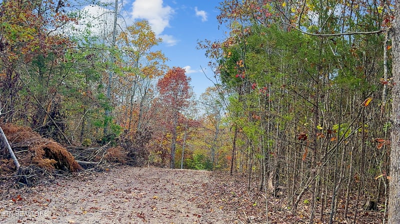 598 Myers Rd, Kingston, TN 37763