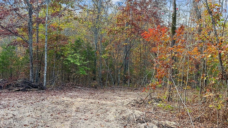 598 Myers Rd, Kingston, TN 37763