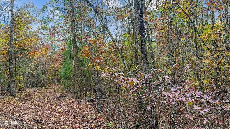 598 Myers Rd, Kingston, TN 37763