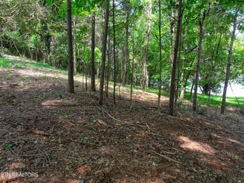 5980 Lakeside Dr, Lenoir City, TN 37772