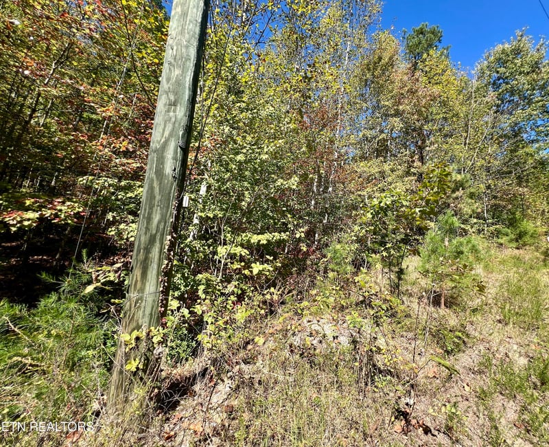 6 acres Creek Hollow Way, Sevierville, TN 37876