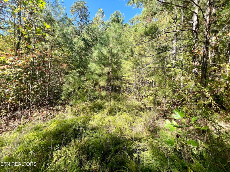 6 acres Creek Hollow Way, Sevierville, TN 37876
