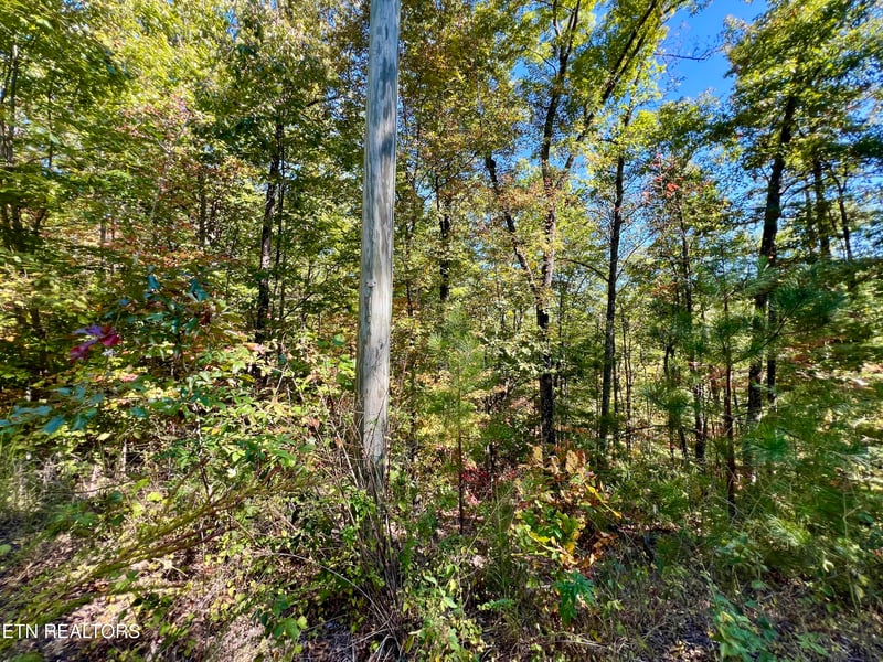 6 acres Creek Hollow Way, Sevierville, TN 37876