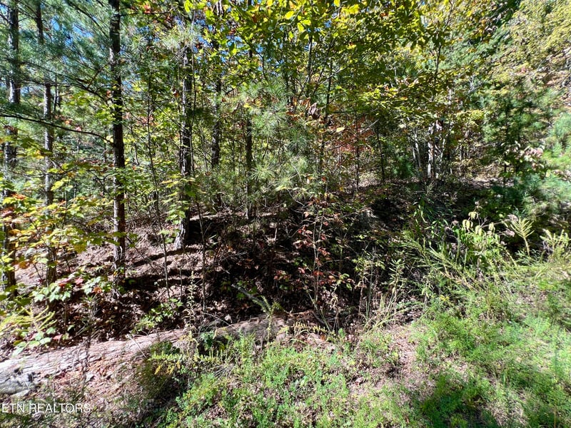 6 acres Creek Hollow Way, Sevierville, TN 37876