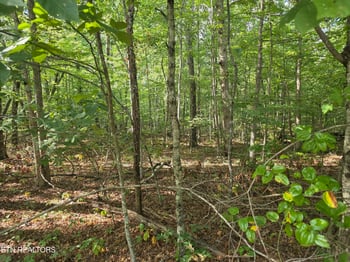 6 Cumberland Lakes Dr, Monterey, TN 38574