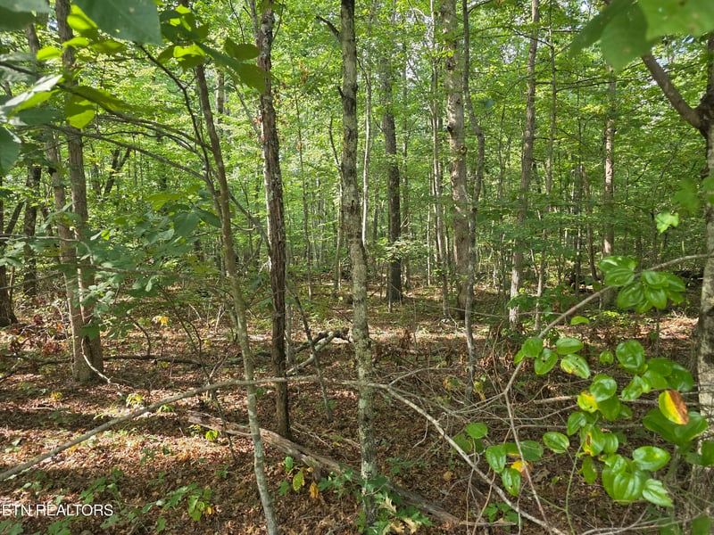 6 Cumberland Lakes Dr, Monterey, TN 38574