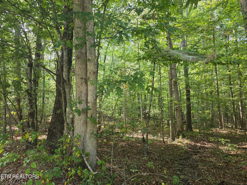 6 Cumberland Lakes Dr, Monterey, TN 38574