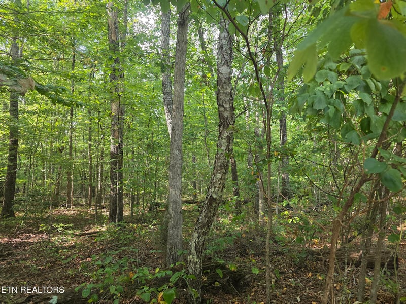 6 Cumberland Lakes Dr, Monterey, TN 38574