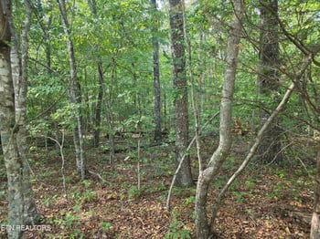 6 Cumberland Lakes Dr, Monterey, TN 38574