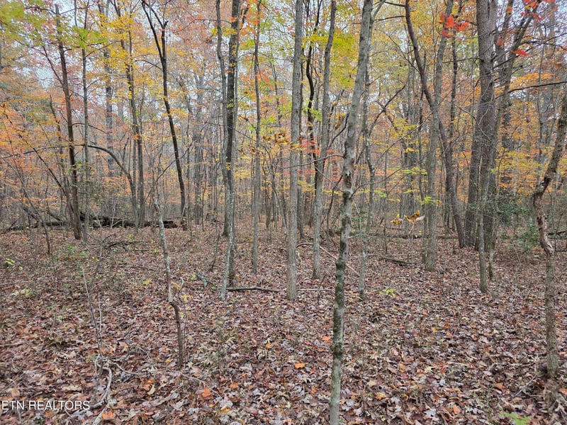 6 Divide Tr, Monterey, TN 38574