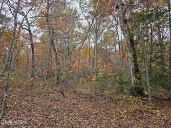 6 Divide Tr, Monterey, TN 38574