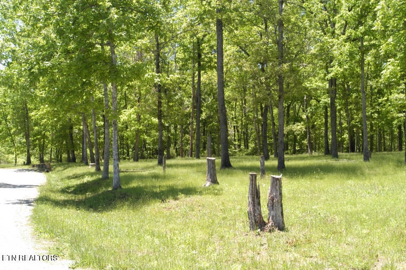 6 War Eagle Cir, Crossville, TN 38572