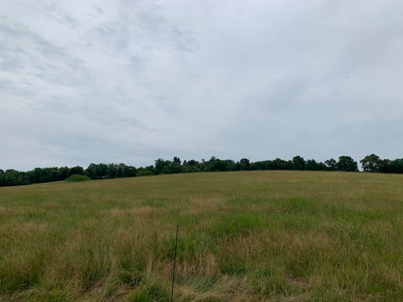 6.04 ac Vonore Rd Tract 5, Loudon, TN 37774