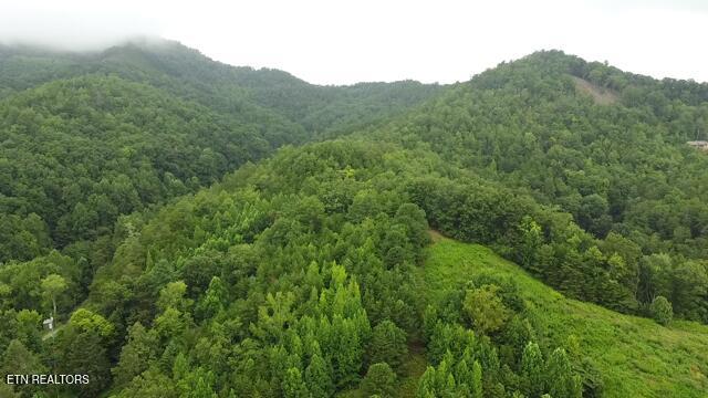 60 acres Wears Valley Rd, Sevierville, TN 37862