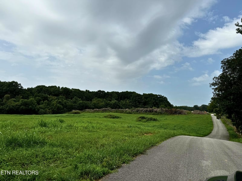 600 Bell View Rd #6.93 Acres, Greenback, TN 37742