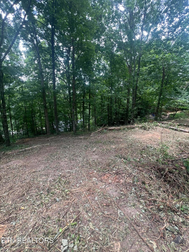 6018 Nottingham Rd, Knoxville, TN 37918