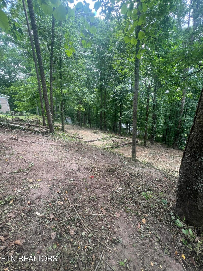 6018 Nottingham Rd, Knoxville, TN 37918