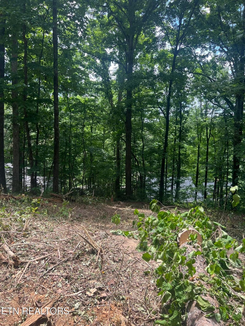 6018 Nottingham Rd, Knoxville, TN 37918