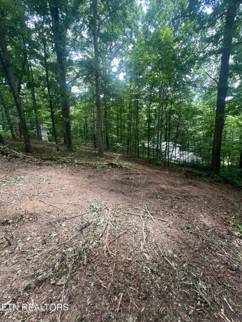 6018 Nottingham Rd, Knoxville, TN 37918