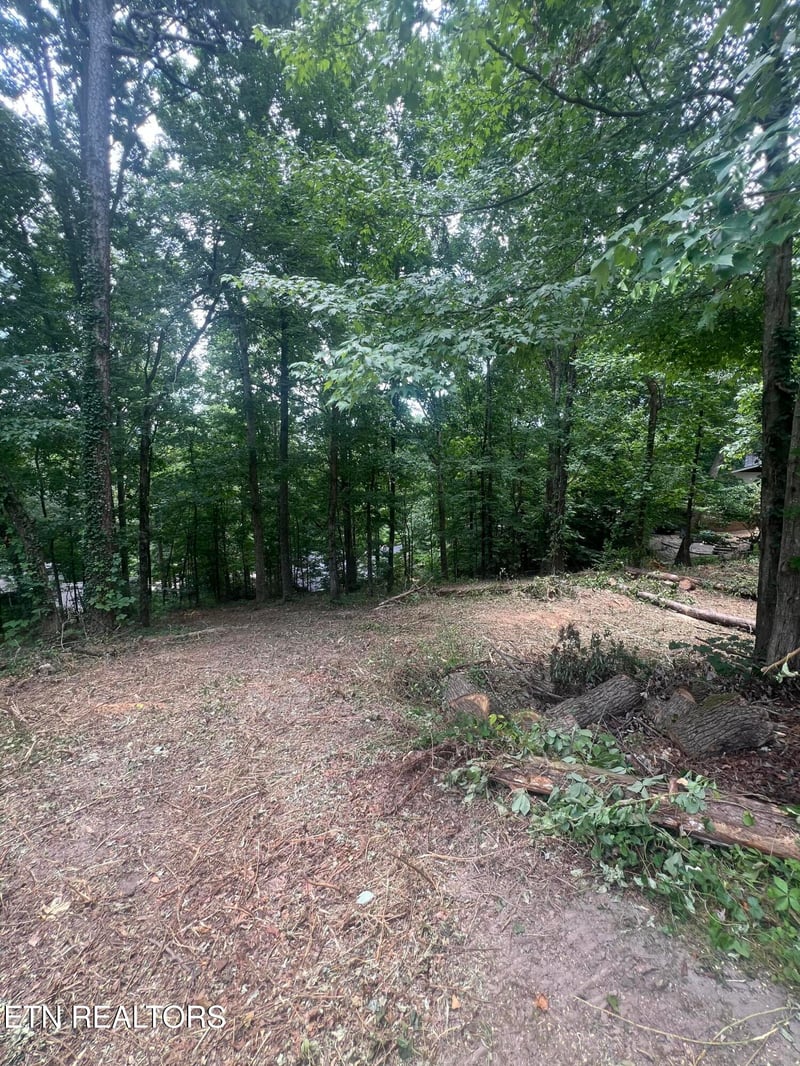 6018 Nottingham Rd, Knoxville, TN 37918