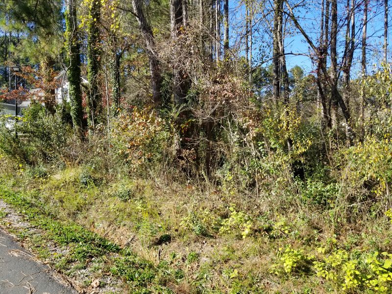 602 Tanasi Ln, Loudon, TN 37774