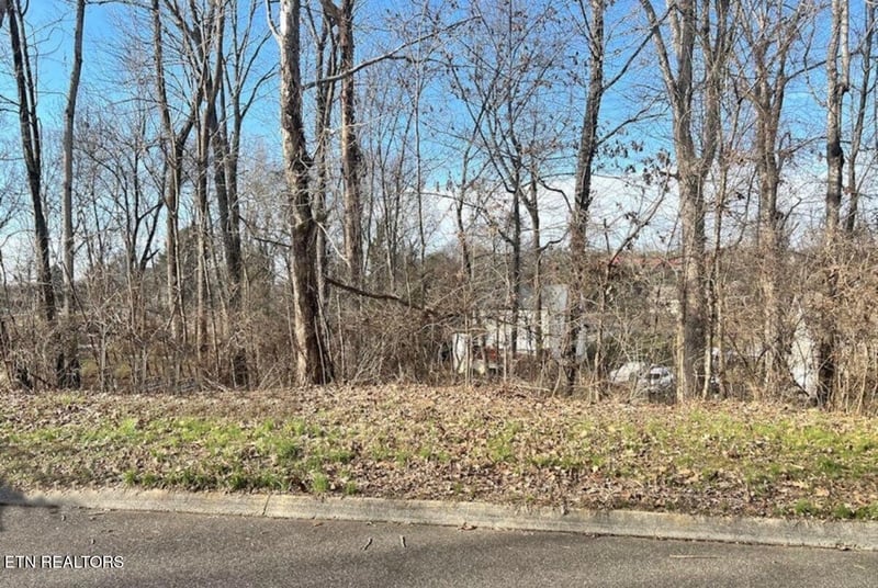 6024 Tennyson Dr, Knoxville, TN 37909